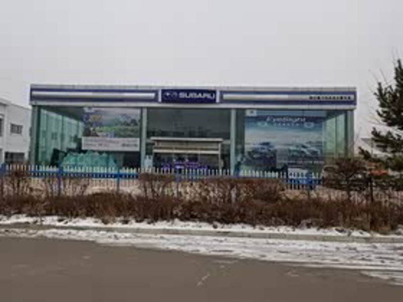 延边汽车市场风向标：购车趋势与策略探讨